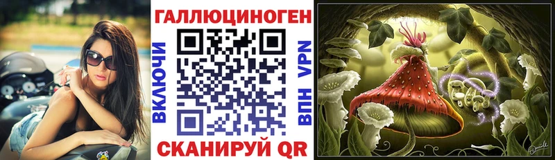 Псилоцибиновые грибы Psilocybe  ОМГ ОМГ ссылки  Трубчевск 